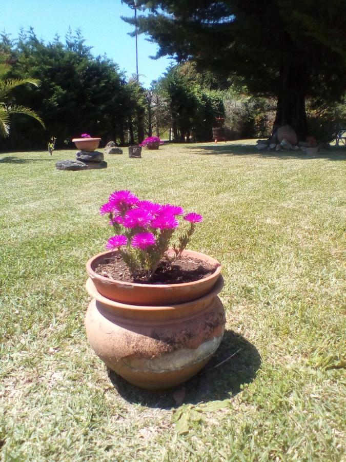 Mamena Bed & Breakfast Paestum Exterior photo